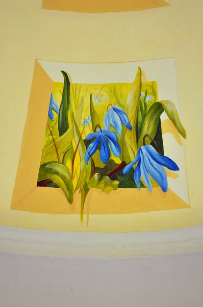 Scilla   060.jpg